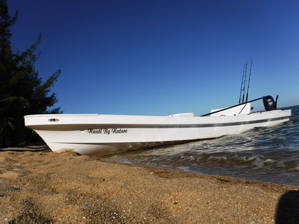 panga boat near beach