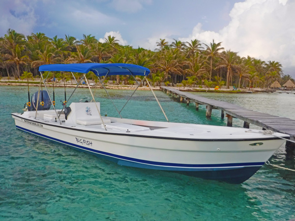 boat near dock