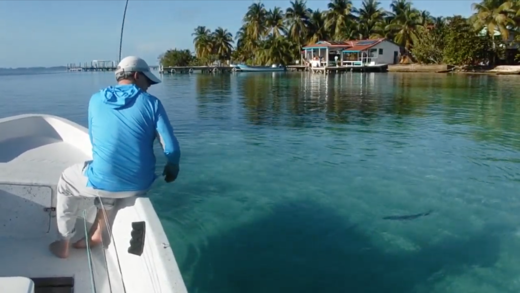 bonefish fly fishing